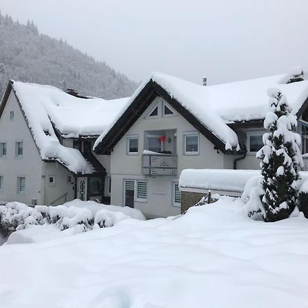Ferienwohnung Ella, 95Qm, Terrasse Todtnau Εξωτερικό φωτογραφία